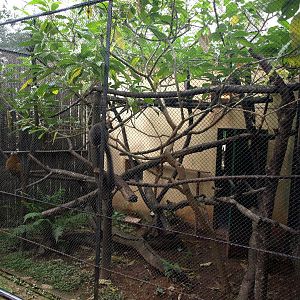 Tsimbazaza Zoo - Round House