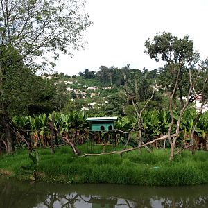 Tsimbazaza Zoo - Lemur island
