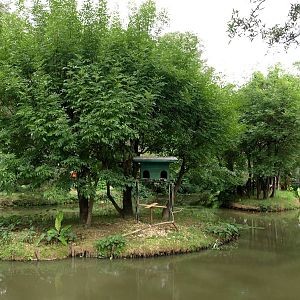 Tsimbazaza Zoo - Lemur islands