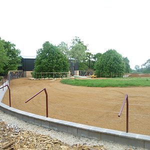 Giraffe paddock at Cotswold WP 21/05/10