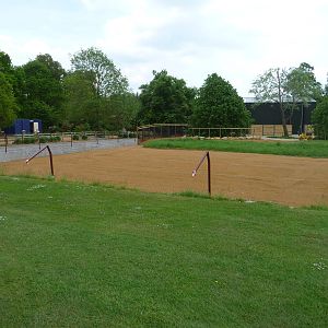 Giraffe paddock at Cotswold WP 21/05/10