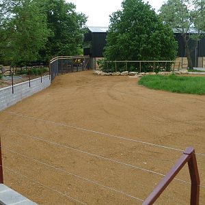 Giraffe paddock at Cotswold WP 21/05/10