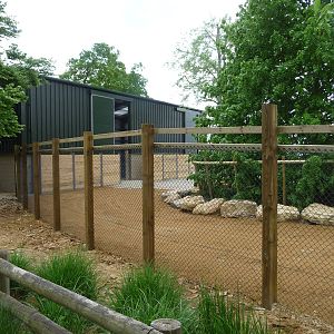 Giraffe paddock at Cotswold WP 21/05/10