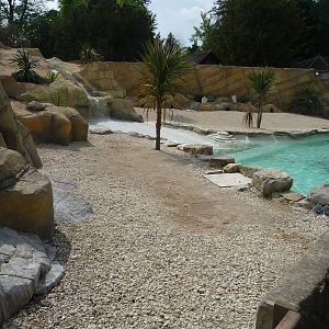 Rennovated Penguin pool at Cotswold WP