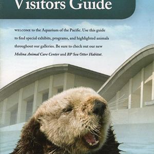 Guidebook 2010