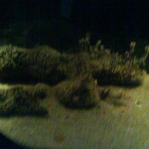 North Sea Oceanarium - Aquarium