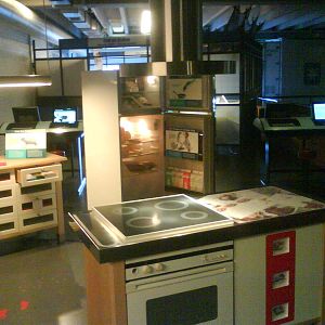 North Sea Oceanarium - Exhibition