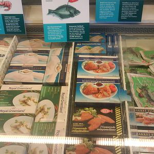 North Sea Oceanarium - Exhibition