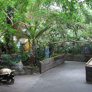 Tropics Trail - Madagascar Giant Tortoise Sculpture