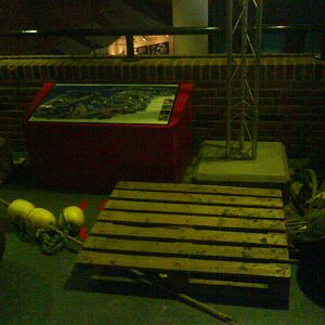 North Sea Oceanarium - Exhibition