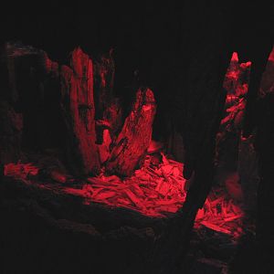 Tropics Trail - Madagascar Hissing Cockroach Exhibit