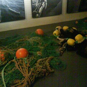 North Sea Oceanarium - Exhibition