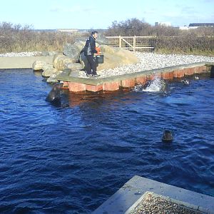 North Sea Oceanarium