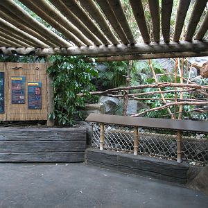 Tropics Trail - Ring-tailed and Red-ruffed Lemurs Exhibit Viewing Area