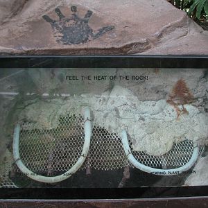 Tropics Trail - Komodo Dragon Exhibit - Heated Rock Display