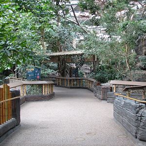 Tropics Trail - Path