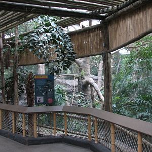 Tropics Trail - Great Hornbill Exhibit Viewing Area