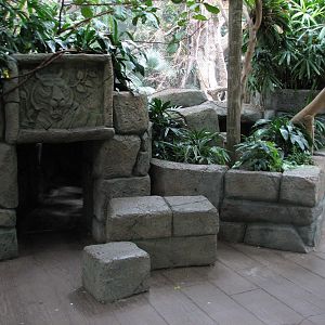 Tropics Trail - Temple Ruin Tunnel