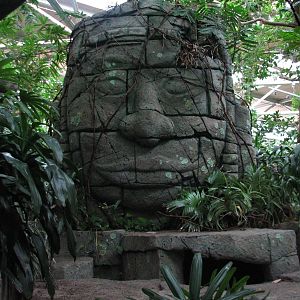 Tropics Trail - Temple Ruin