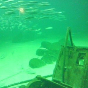 North Sea Oceanarium - Oceanarium