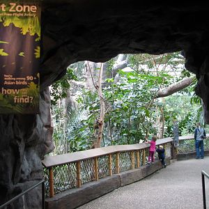 Tropics Trail - Flight Zone - Entrance