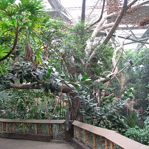 Tropics Trail - Flight Zone - Interior