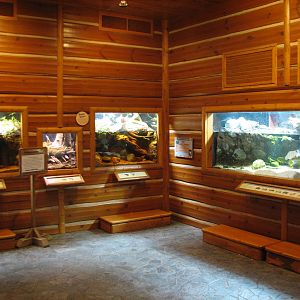 Minnesota Trail - Reptile and Amphibian Exhibits