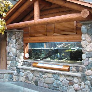 Minnesota Trail - Turtle Exhibit