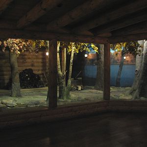 Minnesota Trail - Raccoon Exhibit