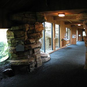 Minnesota Trail - Exhibit Path
