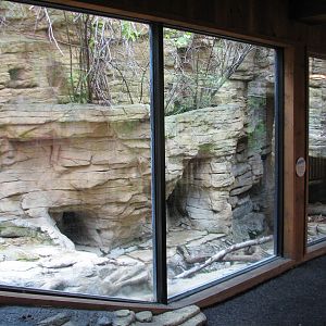 Minnesota Trail - River Otter Exhibit