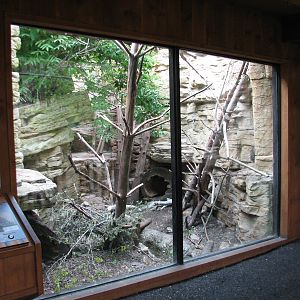 Minnesota Trail - Porcupine and Great Horned Owl Exhibit