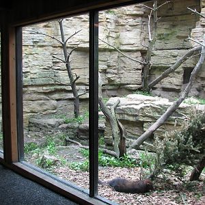Minnesota Trail - Fisher Exhibit