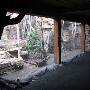 Minnesota Trail - Bird Exhibit