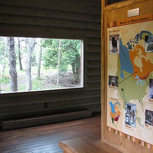 Minnesota Trail - Gray Wolf Exhibit Viewing Area