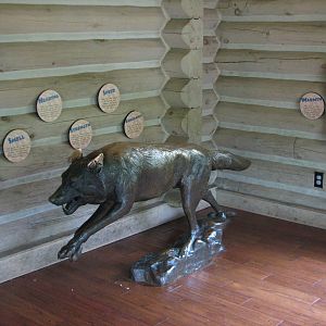 Minnesota Trail - Gray Wolf Exhibit Display Area