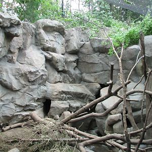Minnesota Trail - First Wolverine Exhibit
