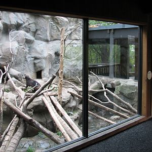 Minnesota Trail - Second Wolverine Exhibit