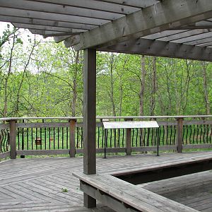 Minnesota Trail - Wild Bird Deck