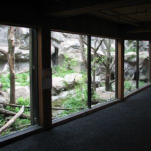 Minnesota Trail - Cougar Exhibit