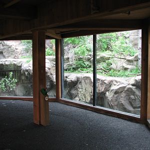 Minnesota Trail - Canada Lynx Exhibit