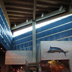 Discovery Bay - Lobby