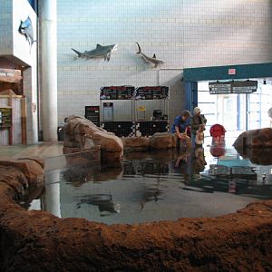 Discovery Bay - Estuary Exhibit