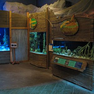 Discovery Bay - Clubhouse Cove - Mangrove, Seahorse, and Seadragon Exhibits