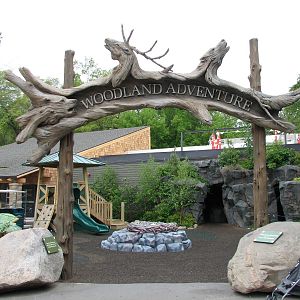 Central Plaza - Woodland Adventure Play Area