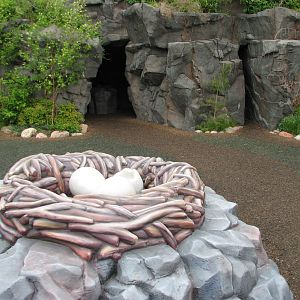 Central Plaza - Woodland Adventure Play Area