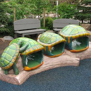 Central Plaza - Woodland Adventure Play Area