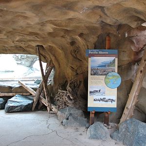 Russia's Grizzly Coast - Pacific Shores - Entrance