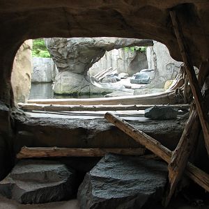 Russia's Grizzly Coast - Pacific Shores - Sea Otter Exhibit First Viewing W