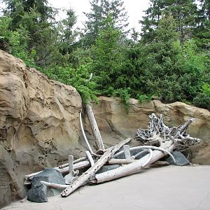 Russia's Grizzly Coast - Pacific Shores - Path